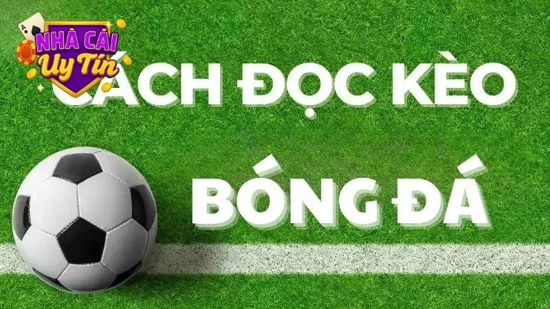 Cách đọc kèo bóng đá